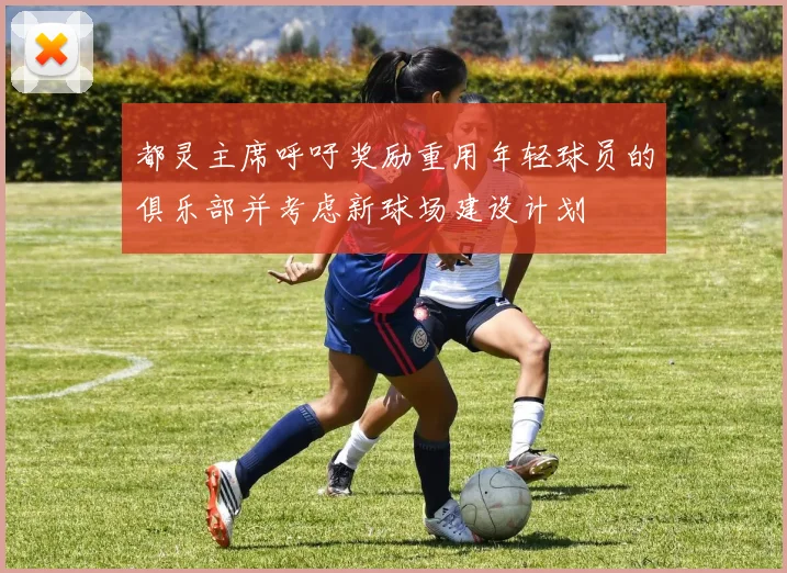 都灵主席呼吁奖励重用年轻球员的俱乐部并考虑新球场建设计划